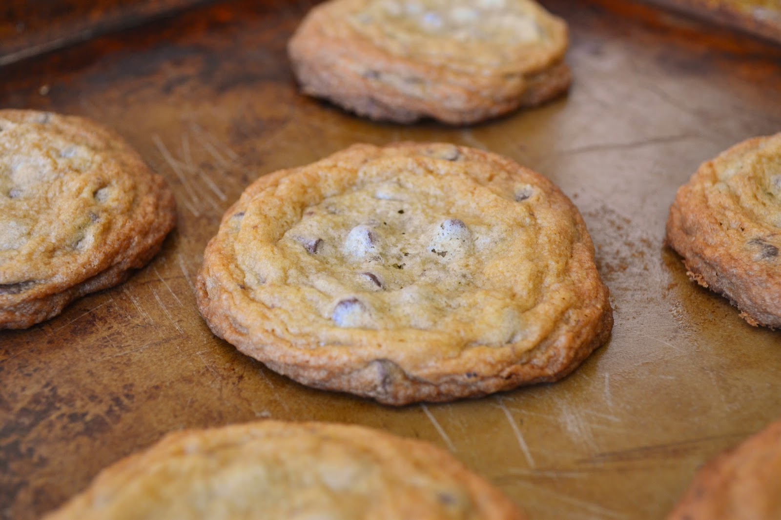 Cast Iron Stew Chocolate Chip Cookies