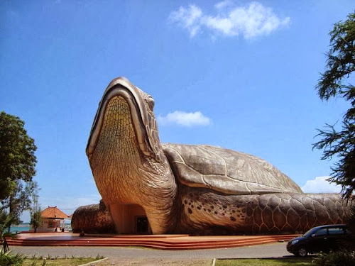 Gambar Kura-Kura Ocean Park Jepara