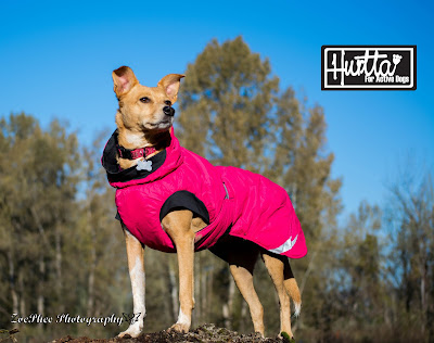 hurtta pet collection summit parka for dogs