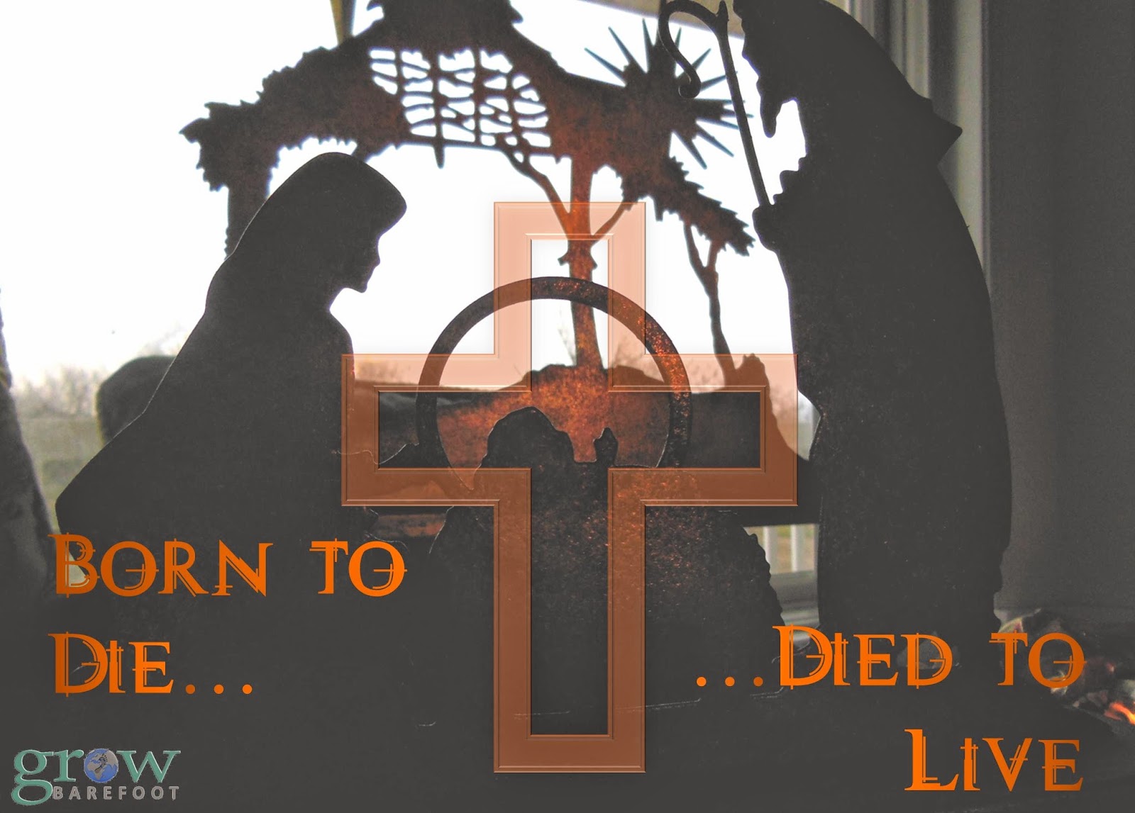 Grow Barefoot: Born to Die; Died to Live