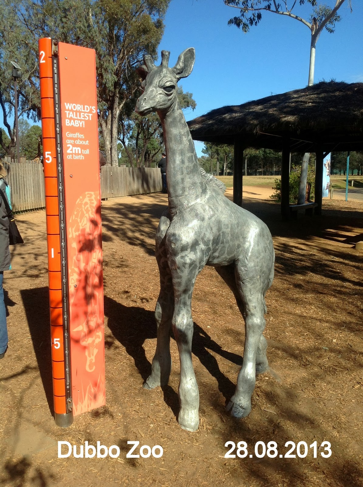Jan Martin's Travel Blog Dubbo Zoo August 2013