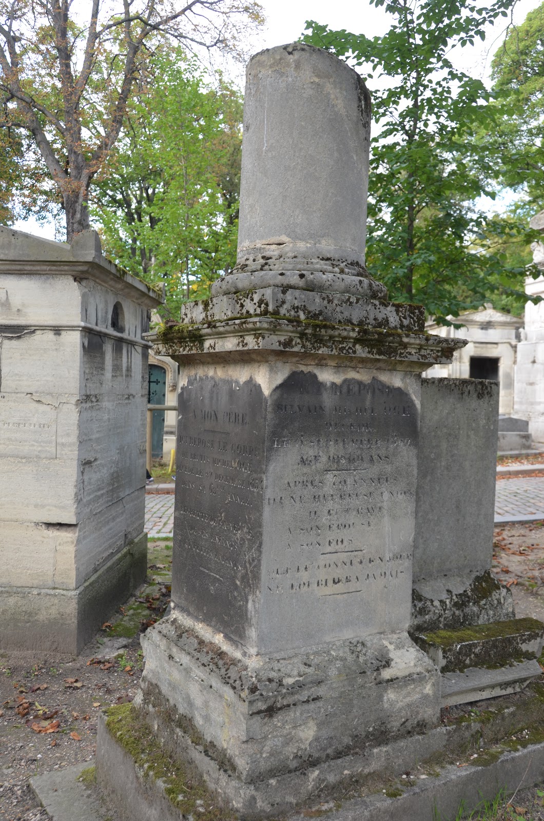 Suitcase And World At The Cemetery And The Taxidermist