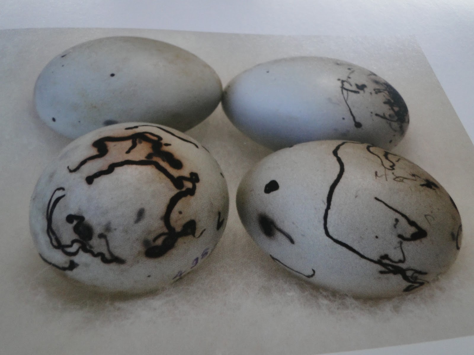 a single feather: red-winged blackbird