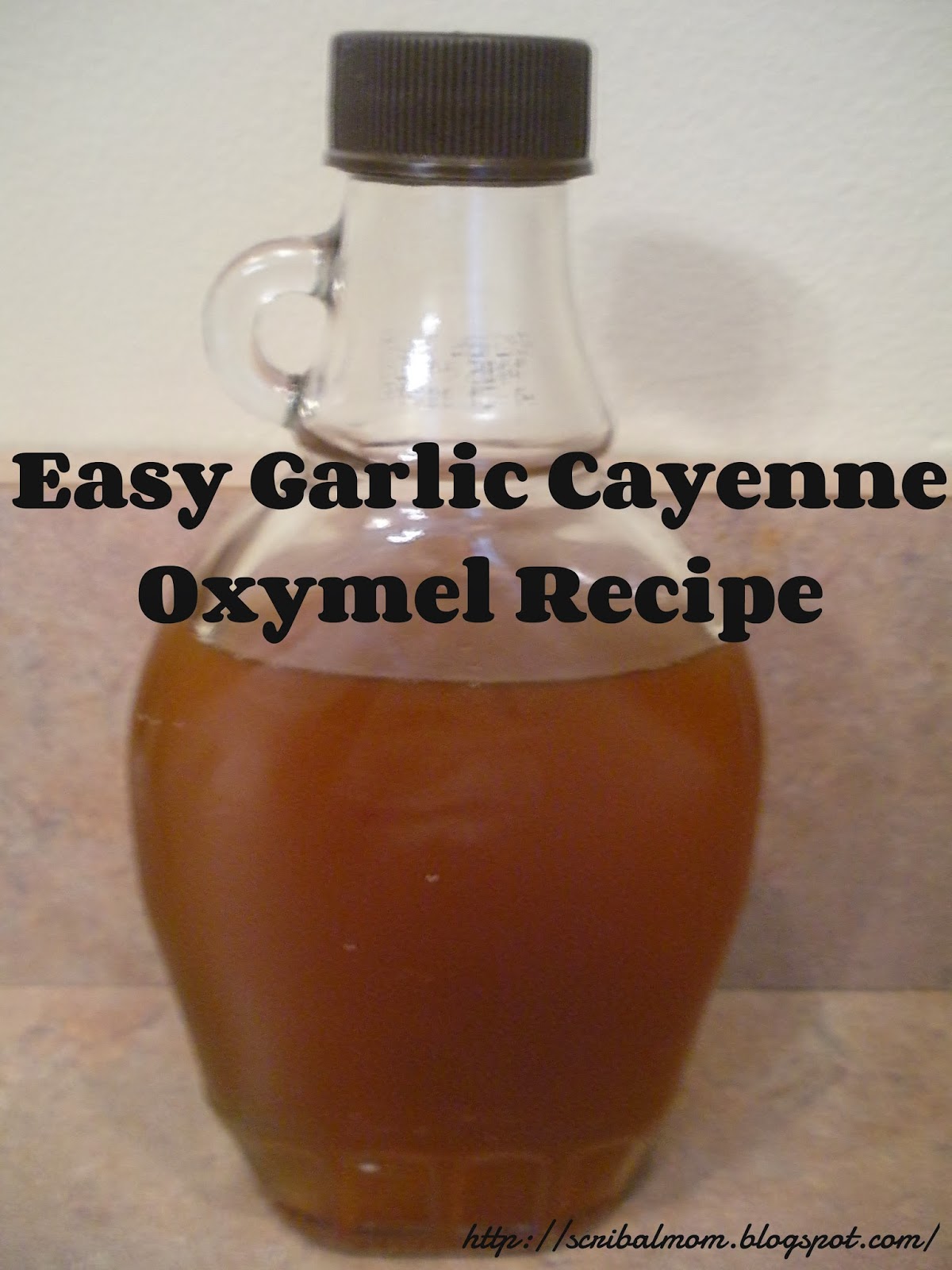 Scribal Mom Easy Garlic Cayenne Oxymel Recipe For Cold & Flu Season