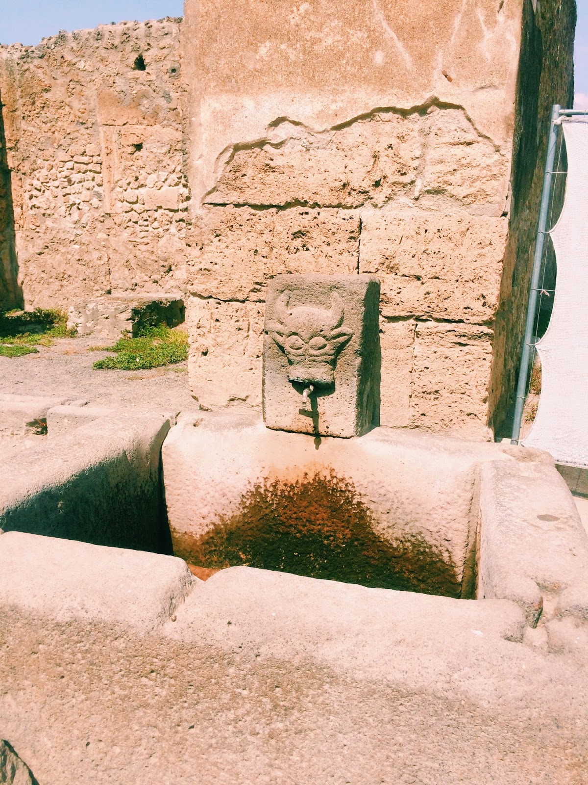 Things You Probably Didn't Know About Pompeii Corinna B's World