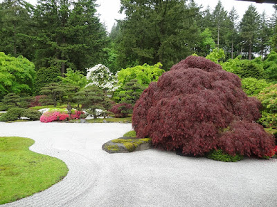 Seattle Garden Ideas Pieris Japonica