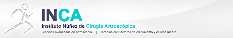 Instituto Núñez de Cirugía Artroscópica