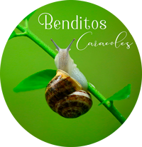 Benditos Caracoles