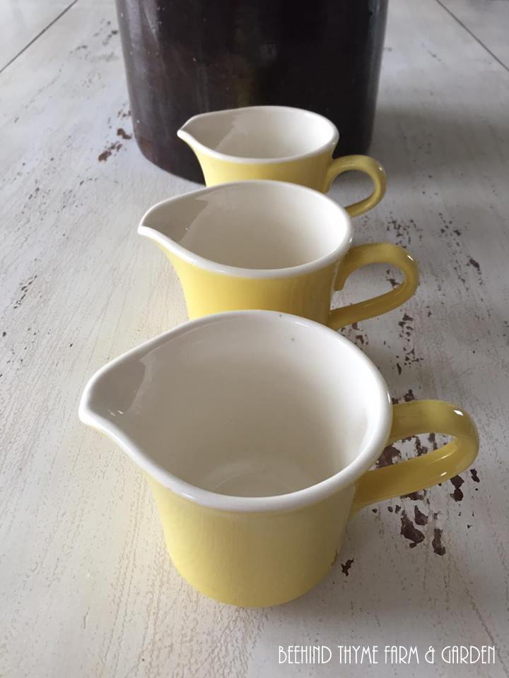 Beehind Thyme Farm & Garden