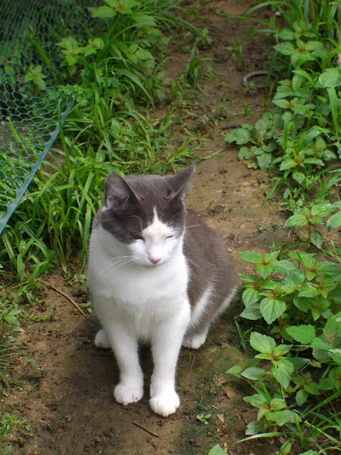 Making the jump to Blogland!