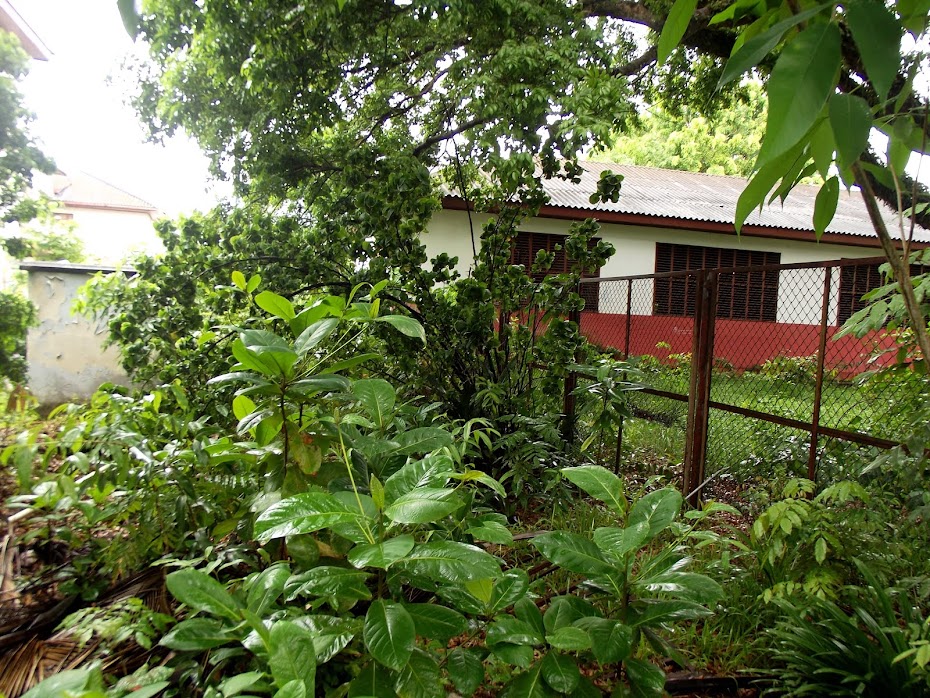 ESCOLA BARÃO DO RIO BRANCO EM MACAPÁ ABANDONADA > FOTO > NECA MACHADO EM 01.03.2016 >