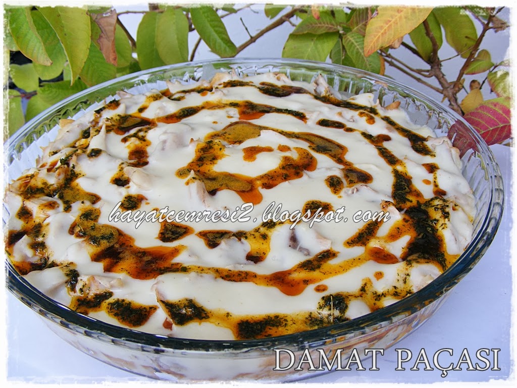 HAYATCEMRESİ YAPILIŞ AŞAMALARI İLE DAMAT PAÇASI