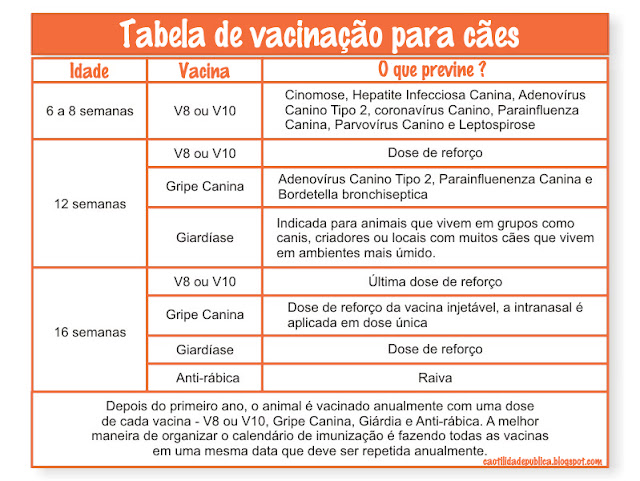 tabela+vacinaA7A3o.jpg