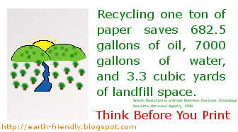 Essay graphic organizer high school picture