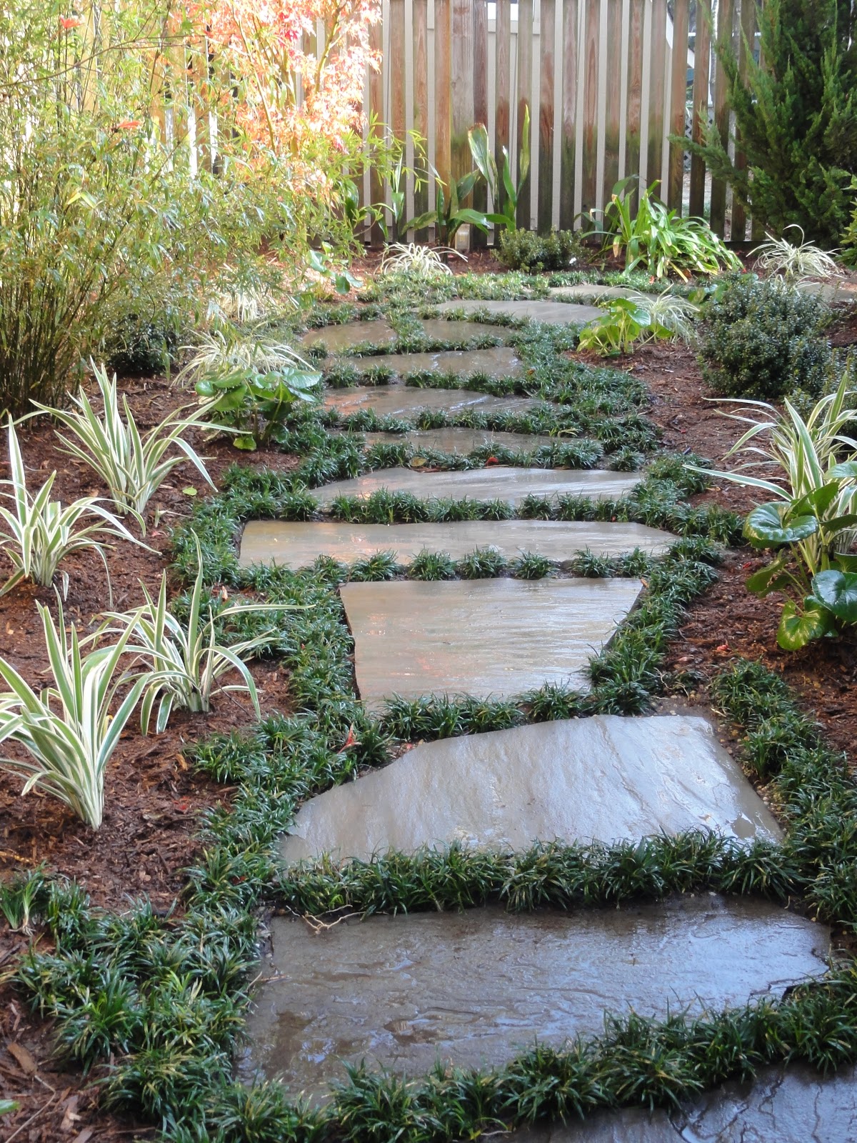 Fall Garden Zone 7a Vegans Living Off The Land My Vegan Garden