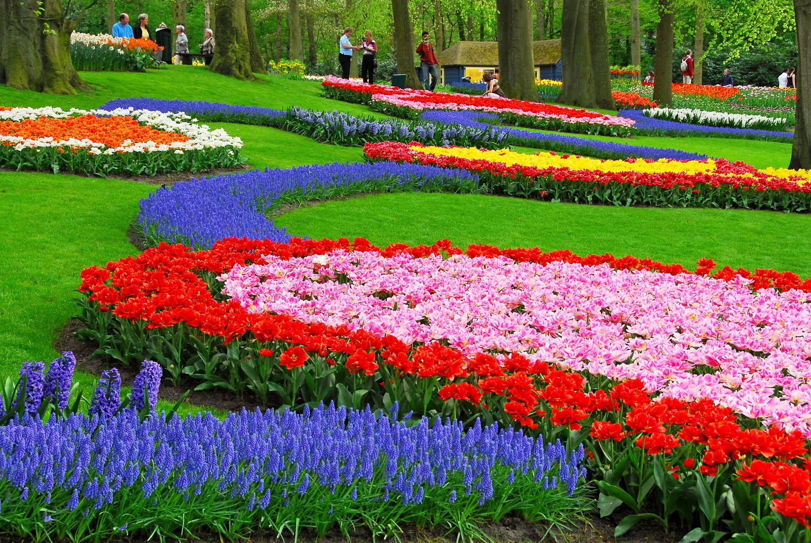 http://1.bp.blogspot.com/-Hfahuxm2V38/T-K2T_uKi-I/AAAAAAAAApA/DXNubR3iUP4/s1600/gambar-pemandangan-taman-bunga-foto-bunga-tulip-flower-garden-wallpapers.jpg
