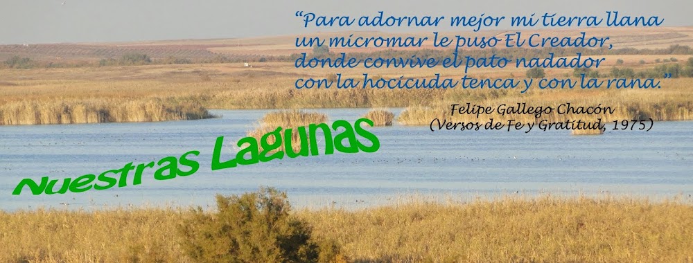 Nuestras Lagunas