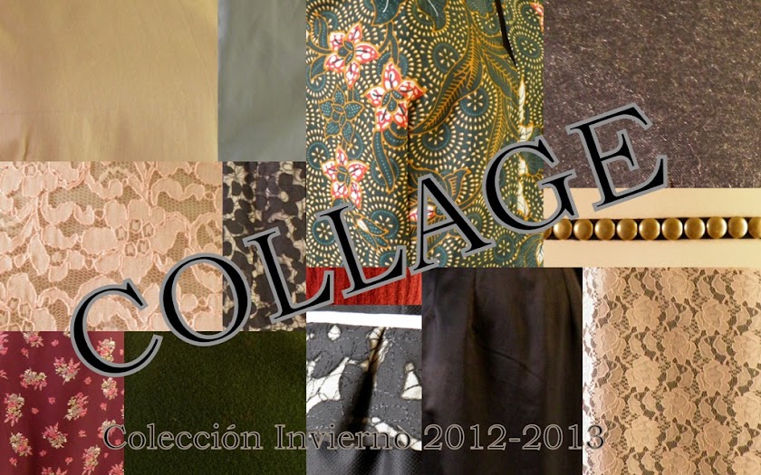 Raul Salado Collage 2012-2013