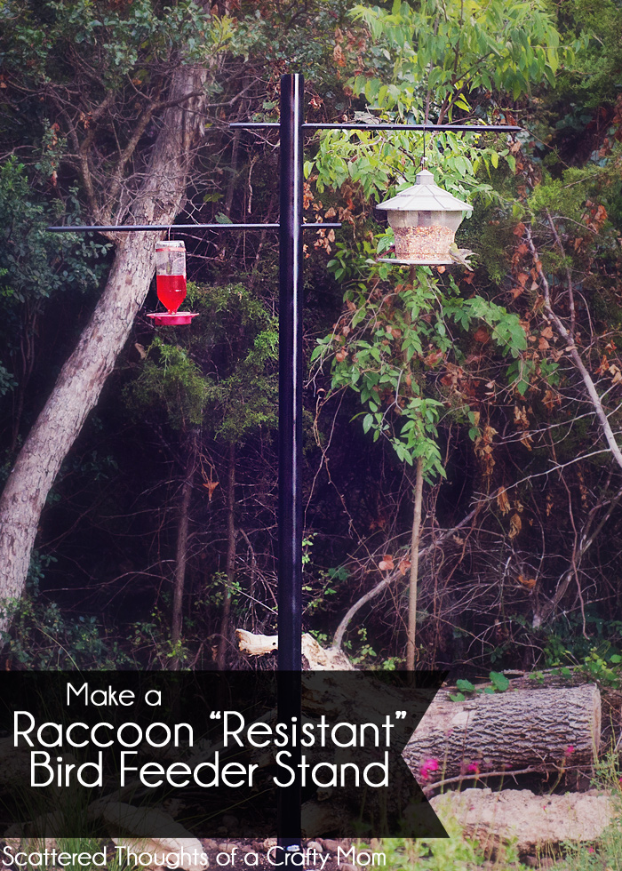 bird raccoon feeder stand proof stands plans resistant pole diy bear woodworking mom forget later don