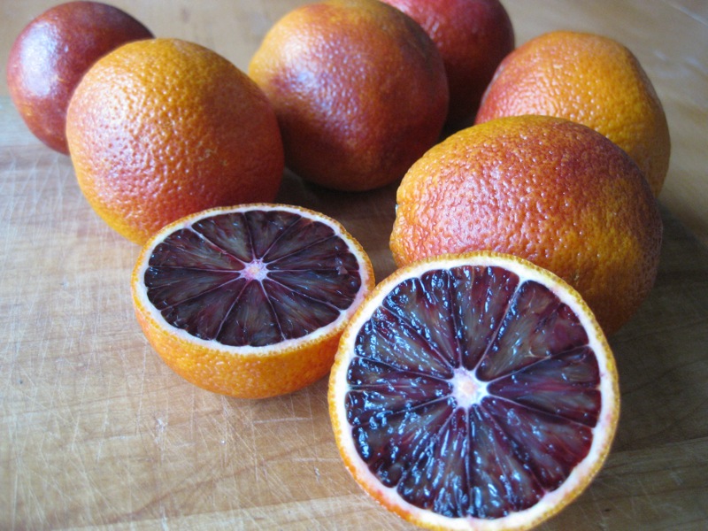 Citrus Enthusiast Blood Oranges