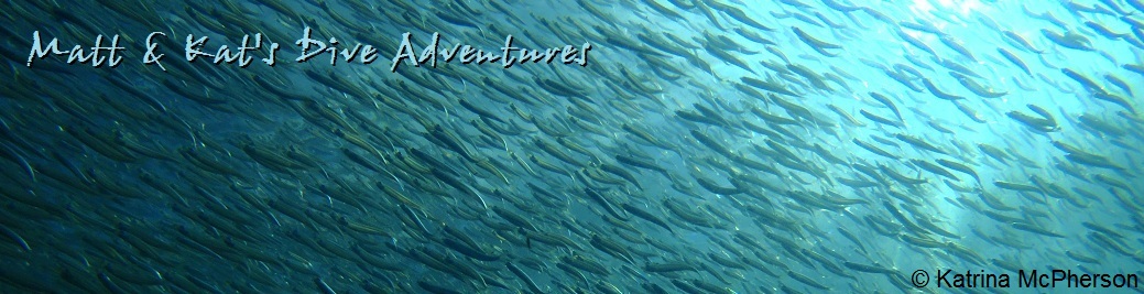 Matt & Kat's Dive Adventures