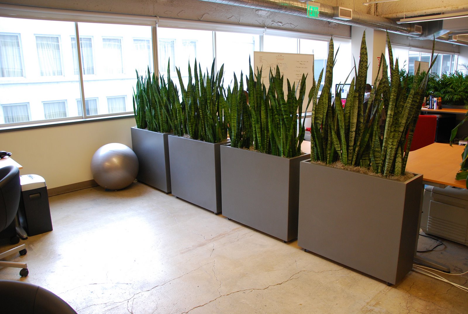 earth walls on wheels make great dividers Office dividers, Office