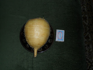 Репа Репа