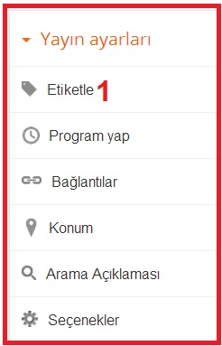 Blogger Makalelerde Etiket Kullanımı-3 Blogger Makalelerde Etiket Kullanımı-3