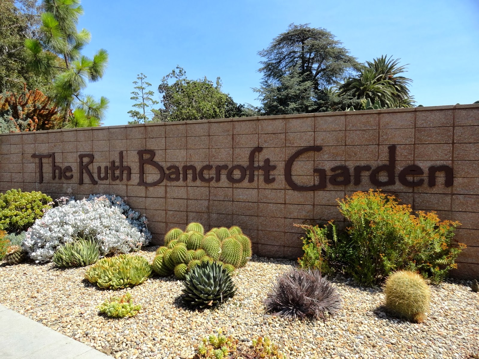 Danger Garden Visiting The Ruth Bancroft Garden During The 2013