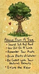 Learn From A Tree