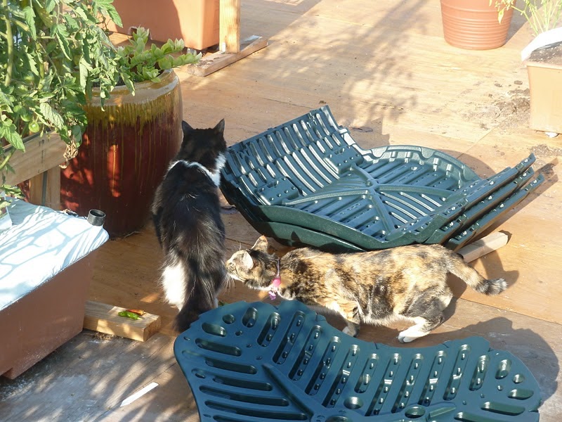 Gidget's Garden Lifetime compost tumbler assembly