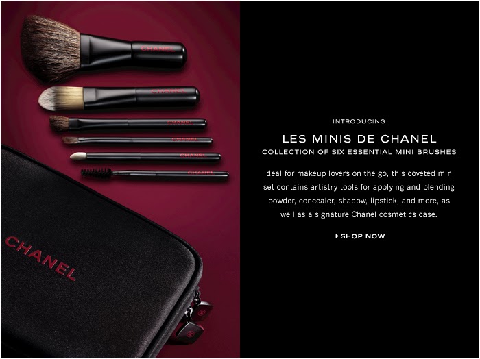 Well That's Just Me CHANEL Perfect Holiday Gift Mini Brush Set