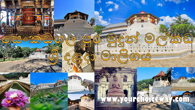 සෙංකඩගල පුර මුදුන් මල්කඩ - ශ්රී දළදා මාලිගය 🙏☸️ (Temple of the Tooth 🪔🌸) - Your Choice Way සෙංකඩගල පුර මුදුන් මල්කඩ - ශ්රී දළදා මාලිගය 🙏☸️ (Temple of the Tooth 🪔🌸) - Your Choice Way