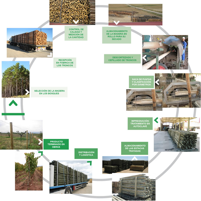 IMPORTANCIA DE LA MATRIZ DE INSUMO PRODUCTO importancia de la matriz de insumo producto: