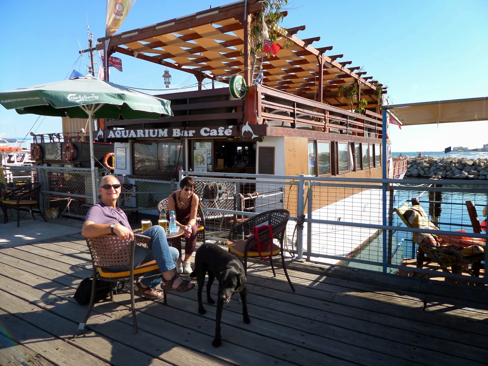 Travel Cyprus With Your Dog Have a drink at the Aquarium Bar... with