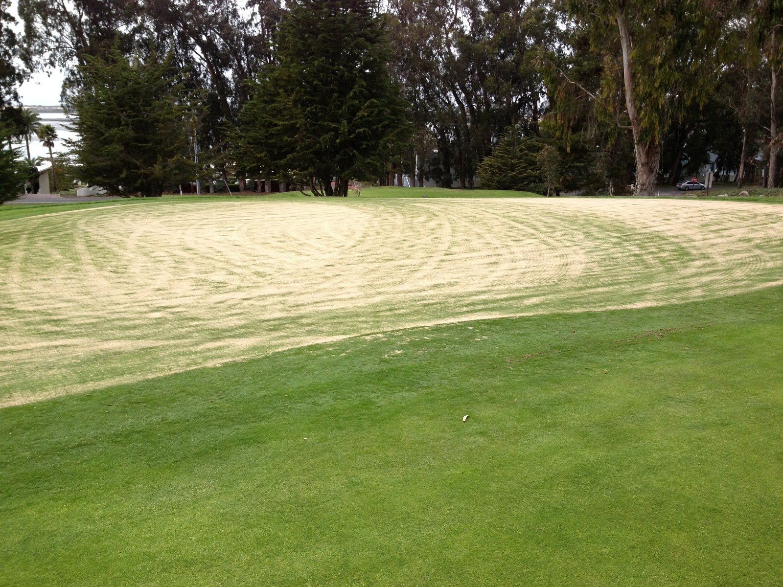 SLO County Golf Courses Aerification...CHECK!!
