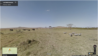 Walk alongside the elephants of the Samburu National Reserve in Street View