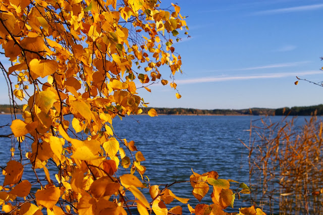 Mökkikeskus Mökin remontti ja mökkitalkkari Jyväskylä Mökkikeskus Mökin remontti ja mökkitalkkari Jyväskylä