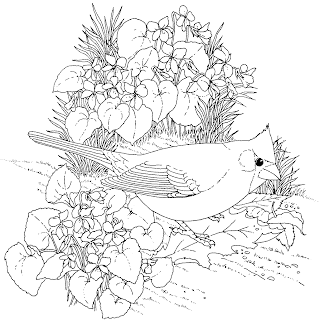Cardinal Coloring Pages Cardinal Coloring Pages