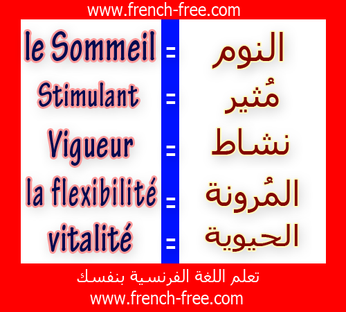  الدرس 1 : تعلم اللغة الفرنسية بالكلمات وجمل مترجمة بالعربية و الفرنسية  5+module+5+mots