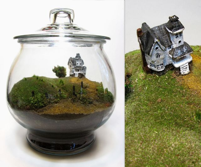 The Fern and Mossery Moss Monday Beetlejuice Terrarium