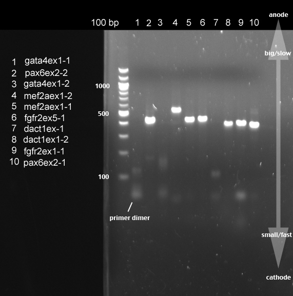 Blog Posts multifilessustainable