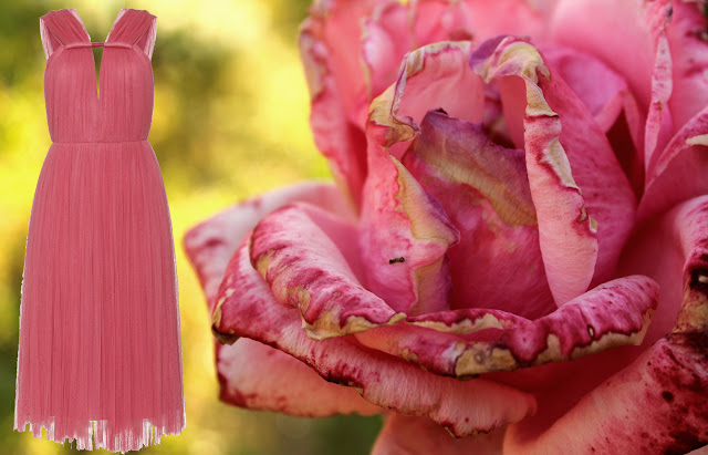 Larvin pleated dress Larvin pleated dress and a rose of my garden