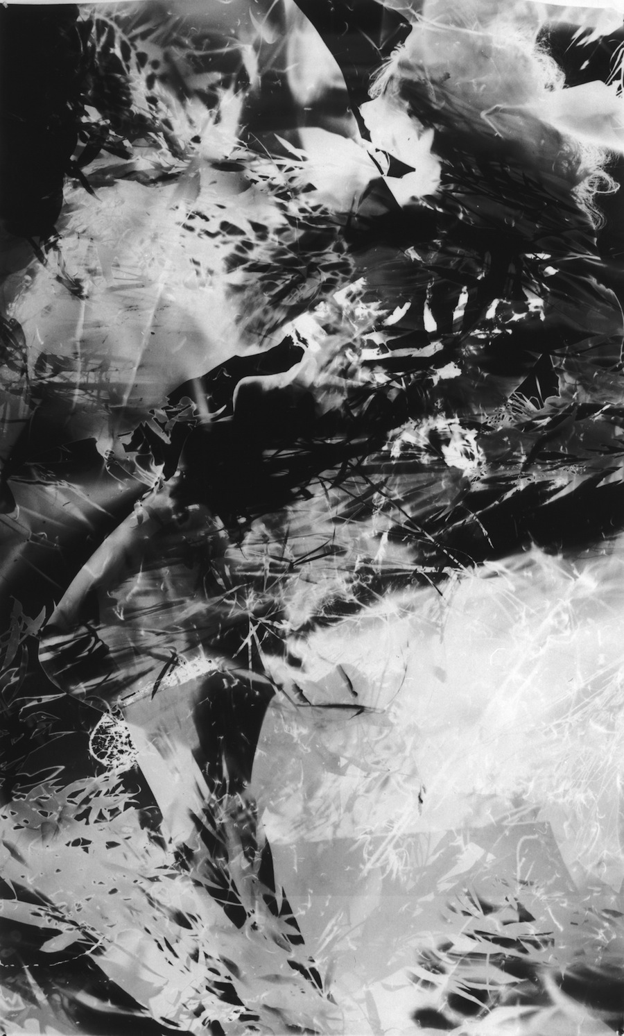 Country Music News International Magazine And Radio Show Jun 29 2019