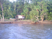 Casa Ribeirinha em Manaus.