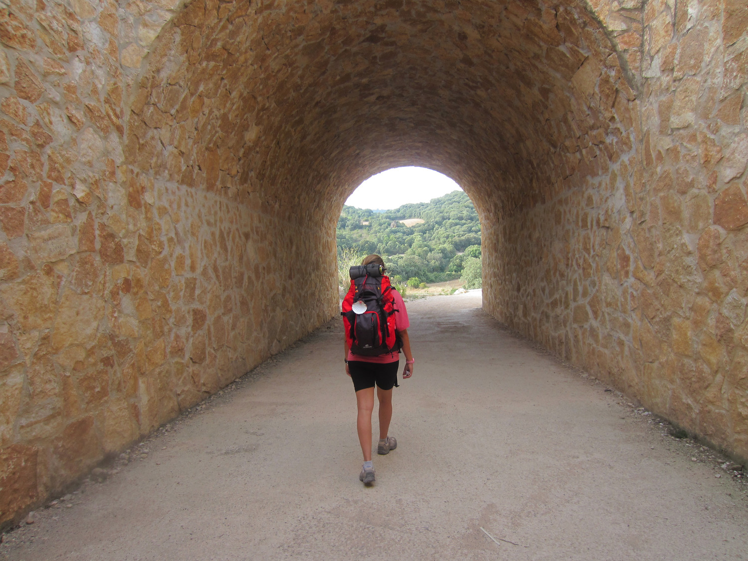 Un camino en mi sueño