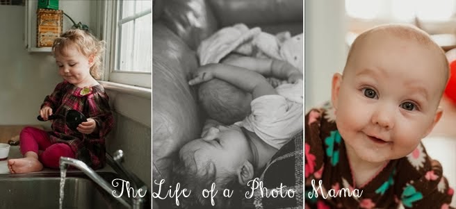 the life of a photo momma