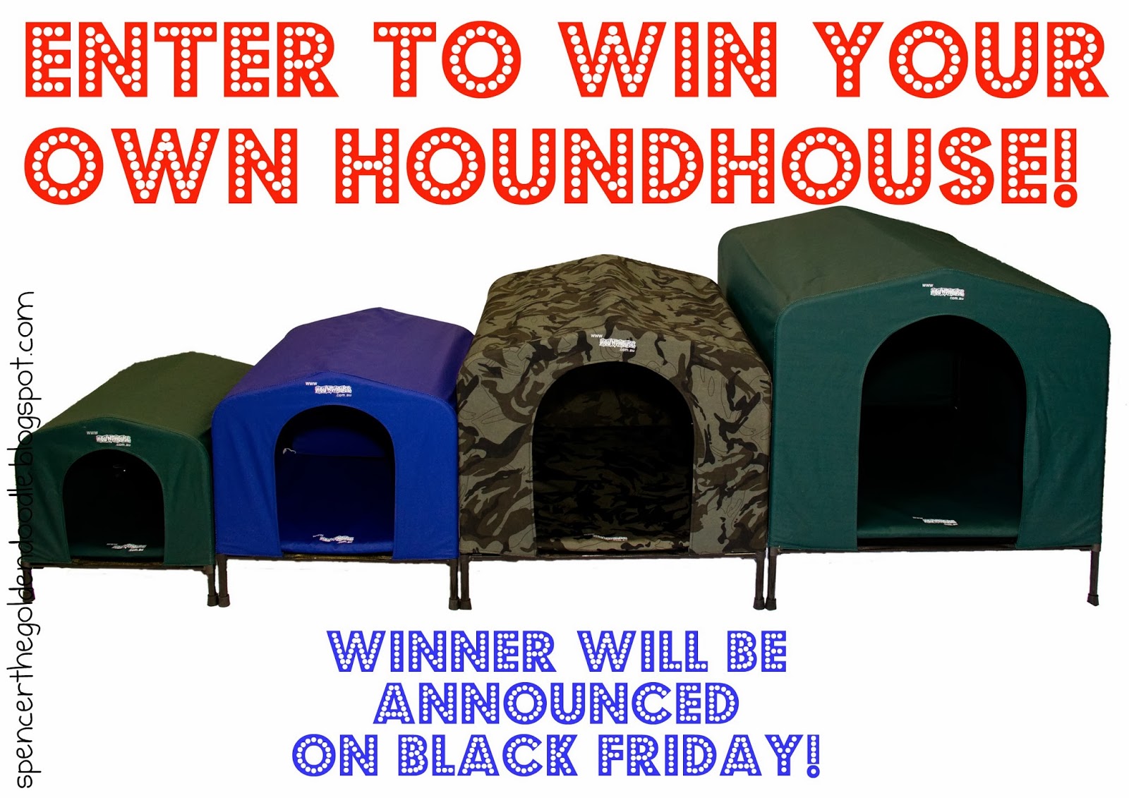 Spencer the Goldendoodle Black Friday Giveaway HoundHouse