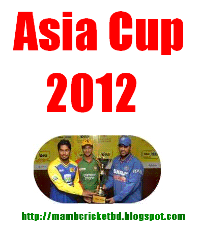 essay asia world cup 2012