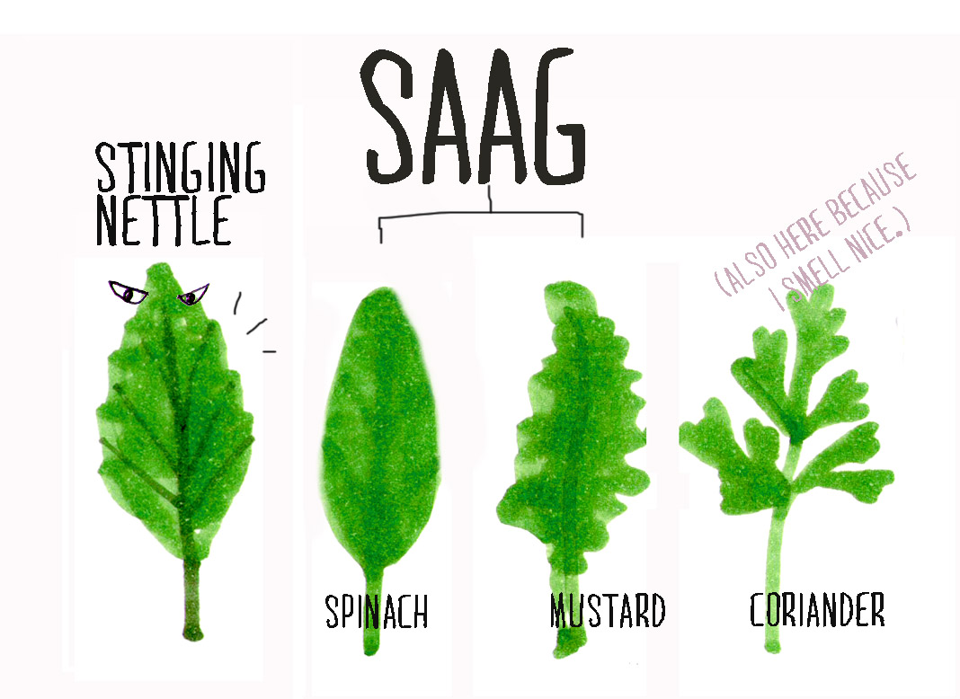 Saag Leaves